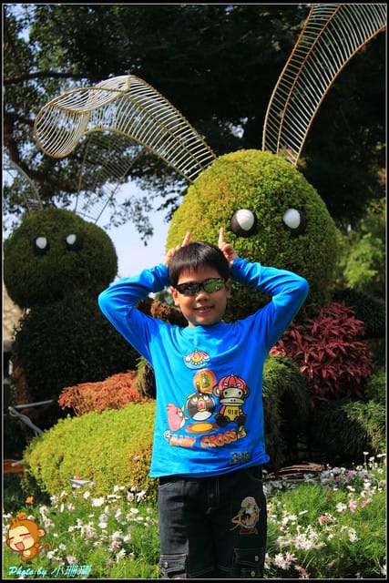 《遊記—台北》2011士林官邸菊展～菊與詩的對話