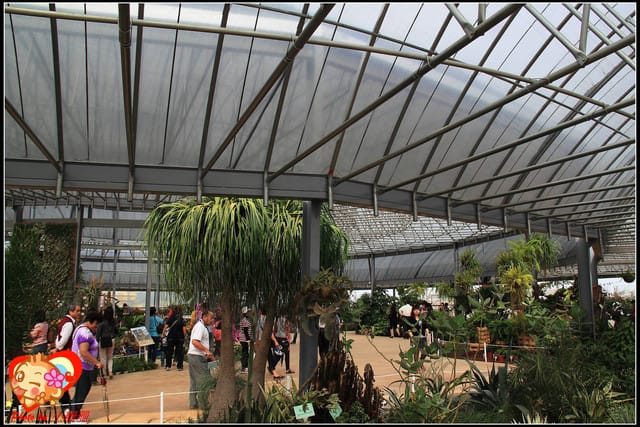 《遊記—台中》2011新社花海v.s台中國際花毯節