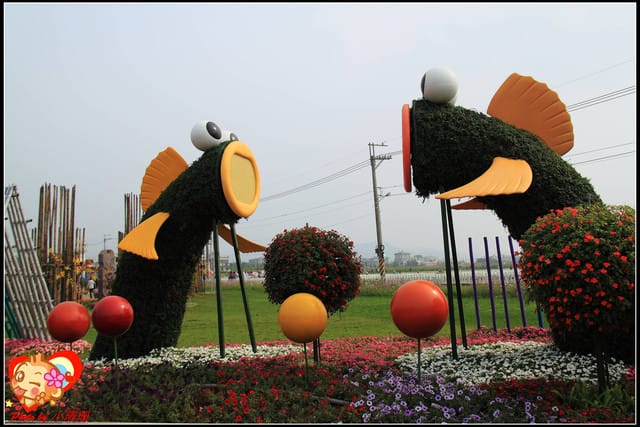 《遊記—台中》2011新社花海v.s台中國際花毯節