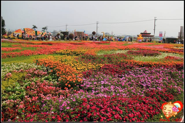 《遊記—台中》2011新社花海v.s台中國際花毯節