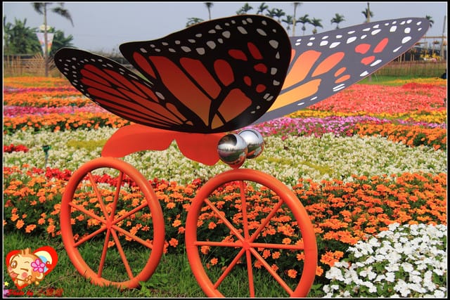 《遊記—台中》2011新社花海v.s台中國際花毯節