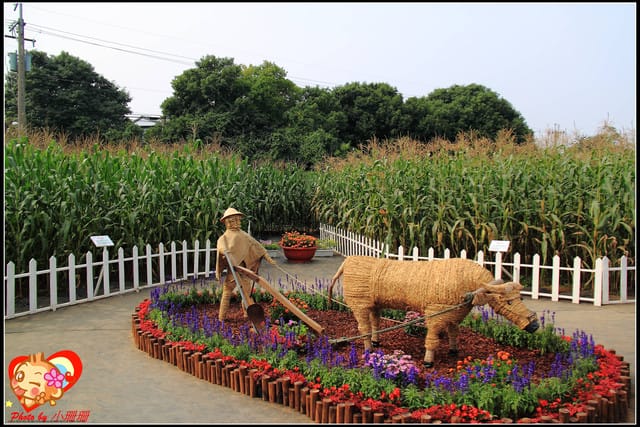 《遊記—台中》2011新社花海v.s台中國際花毯節