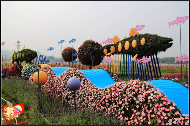 《遊記—台中》2011新社花海v.s台中國際花毯節