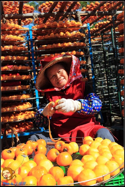 《遊記—新竹》新埔柿餅節～味衛佳觀光果園