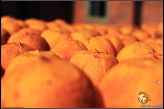 《遊記—新竹》新埔柿餅節～味衛佳觀光果園