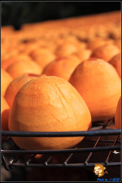 《遊記—新竹》新埔柿餅節～味衛佳觀光果園