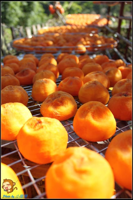 《遊記—新竹》新埔柿餅節～味衛佳觀光果園