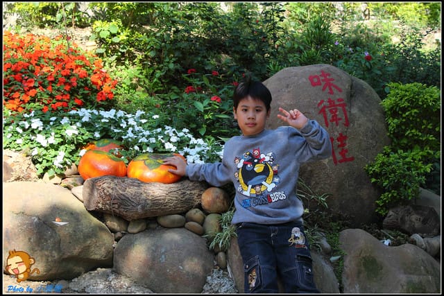 《遊記—新竹》新埔柿餅節～味衛佳觀光果園