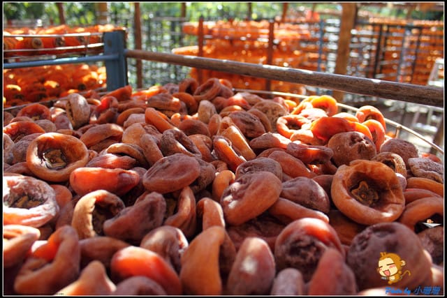 《遊記—新竹》新埔柿餅節～味衛佳觀光果園