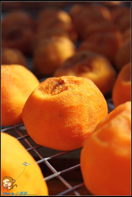 《遊記—新竹》新埔柿餅節～味衛佳觀光果園