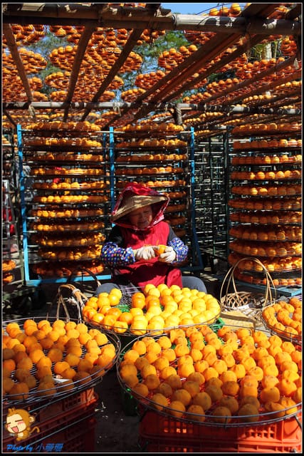 《遊記—新竹》新埔柿餅節～味衛佳觀光果園