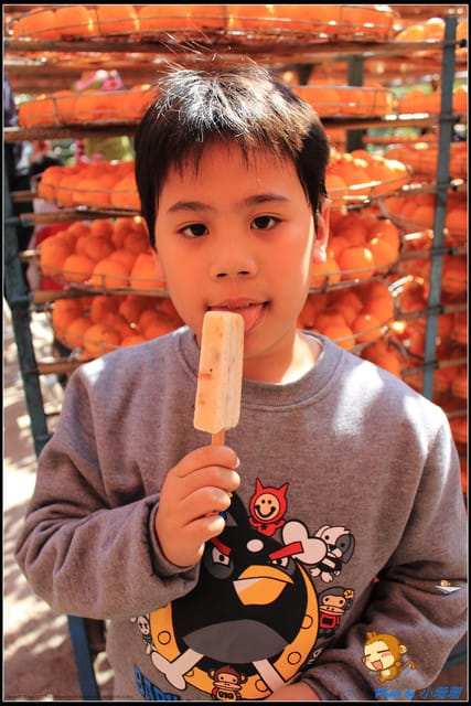 《遊記—新竹》新埔柿餅節～味衛佳觀光果園