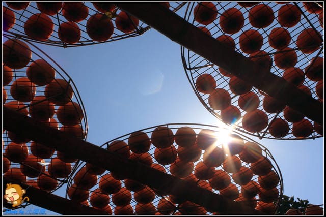 《遊記—新竹》新埔柿餅節～味衛佳觀光果園