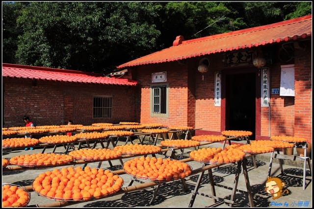 《遊記—新竹》新埔柿餅節～味衛佳觀光果園