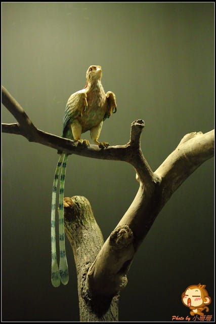 《遊記—台北》恐龍登陸台北？！～恐龍夢公園展覽in松山文創園區