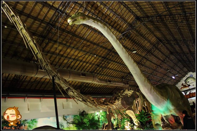 《遊記—台北》恐龍登陸台北？！～恐龍夢公園展覽in松山文創園區