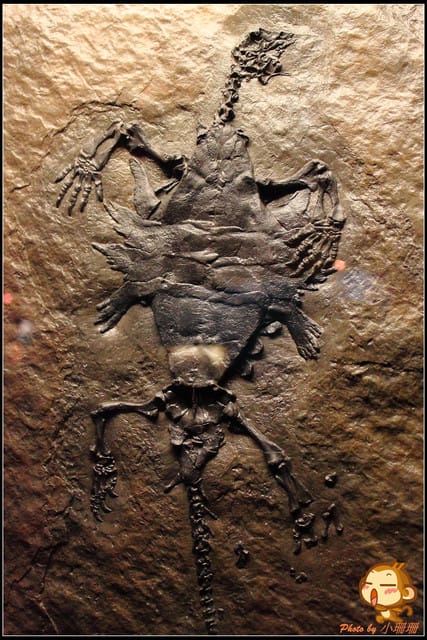 《遊記—台北》恐龍登陸台北？！～恐龍夢公園展覽in松山文創園區