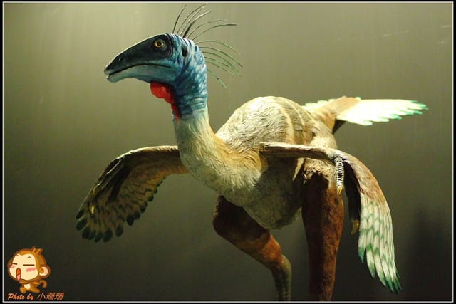 《遊記—台北》恐龍登陸台北？！～恐龍夢公園展覽in松山文創園區