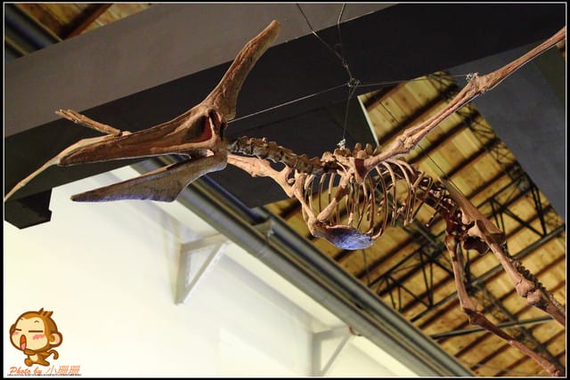 《遊記—台北》恐龍登陸台北？！～恐龍夢公園展覽in松山文創園區