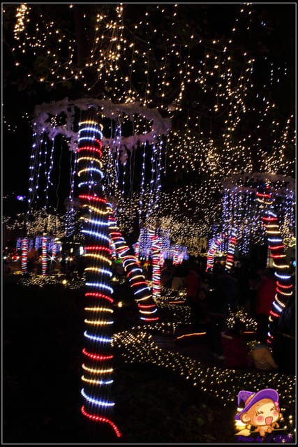 《遊記—台北》信義區浪漫耶誕樹點亮台北耶誕城嚕～