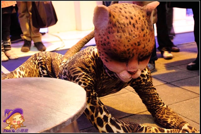 《遊記—台北》信義區浪漫耶誕樹點亮台北耶誕城嚕～