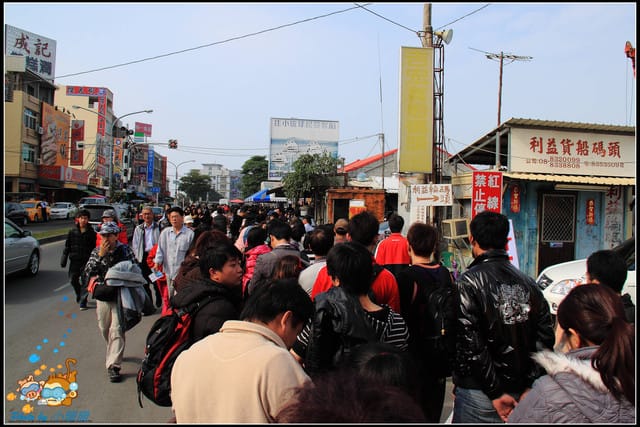 《遊記—屏東小琉球》白沙尾觀光港&杉福生態廊道 - 第3張圖 《遊記—屏東小琉球》白沙尾觀光港&杉福生態廊道