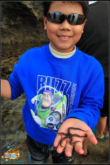 《遊記—屏東小琉球》白沙尾觀光港&杉福生態廊道 - 第21張圖 《遊記—屏東小琉球》白沙尾觀光港&杉福生態廊道