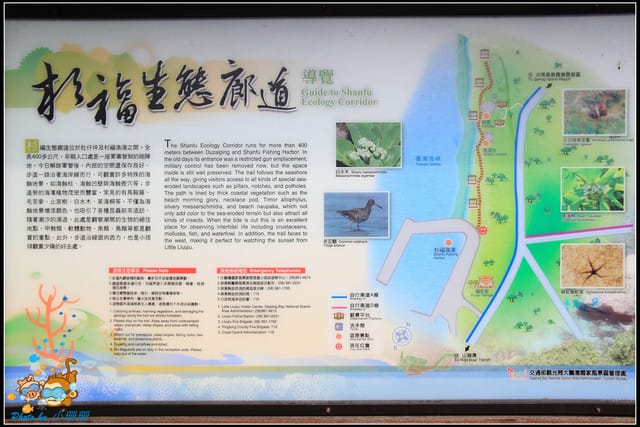 《遊記—屏東小琉球》白沙尾觀光港&杉福生態廊道 - 第26張圖 《遊記—屏東小琉球》白沙尾觀光港&杉福生態廊道