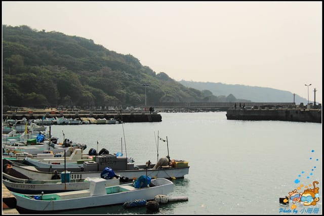 《遊記—屏東小琉球》白沙尾觀光港&杉福生態廊道 - 第12張圖 《遊記—屏東小琉球》白沙尾觀光港&杉福生態廊道