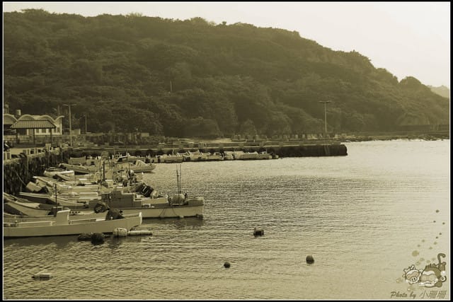 《遊記—屏東小琉球》白沙尾觀光港&杉福生態廊道 - 第11張圖 《遊記—屏東小琉球》白沙尾觀光港&杉福生態廊道