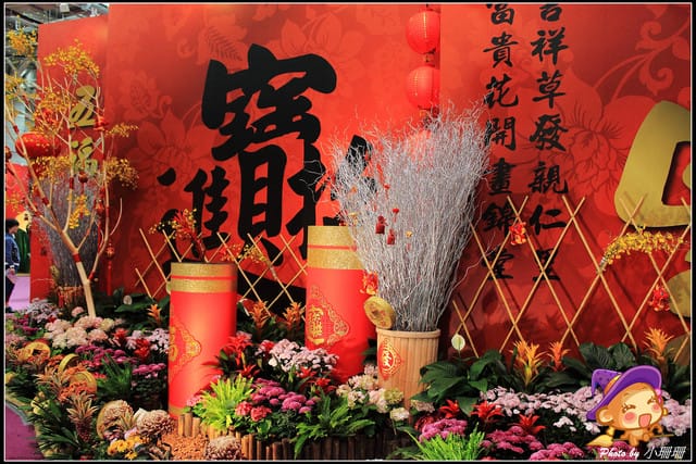 《遊記—台北》2012花現台北、爭豔再現