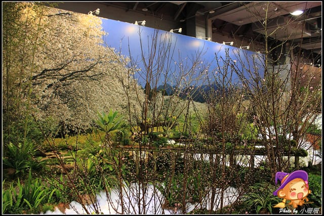 《遊記—台北》2012花現台北、爭豔再現