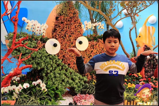 《遊記—台北》2012花現台北、爭豔再現