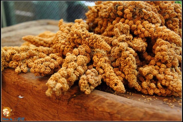 《遊記—南投》台灣麻糬主題館