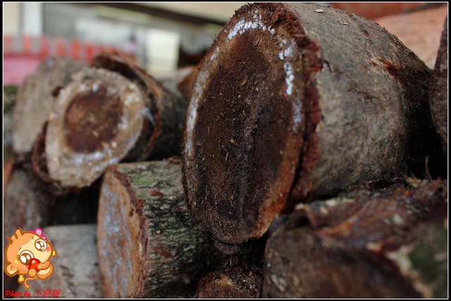 《廣宣—桃園平鎮》台灣磚窯雞～小小人妻格聚