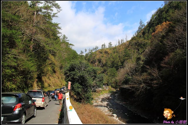 《遊記—台中和平》戀上櫻花‧愛上武陵
