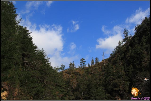 《遊記—台中和平》戀上櫻花‧愛上武陵