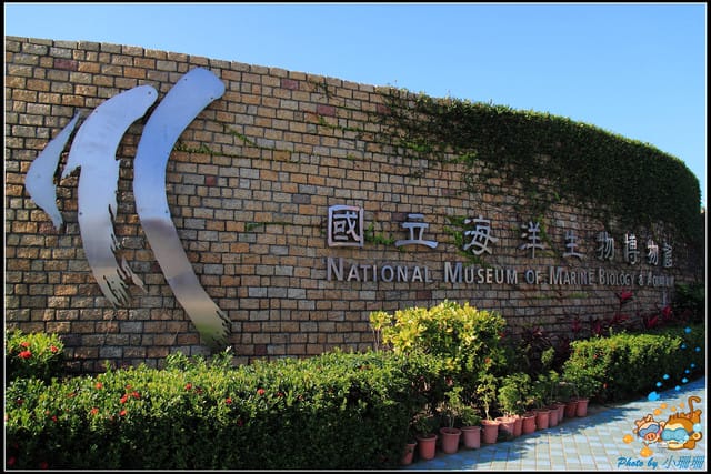 《遊記—屏東》國立海洋生物博物館~與海洋生物最近距離的接觸 - 第3張圖 《遊記—屏東》國立海洋生物博物館~與海洋生物最近距離的接觸