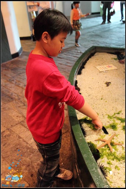 《遊記—屏東》國立海洋生物博物館~與海洋生物最近距離的接觸 - 第28張圖 《遊記—屏東》國立海洋生物博物館~與海洋生物最近距離的接觸