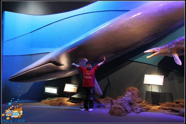 《遊記—屏東》國立海洋生物博物館~與海洋生物最近距離的接觸 - 第41張圖 《遊記—屏東》國立海洋生物博物館~與海洋生物最近距離的接觸