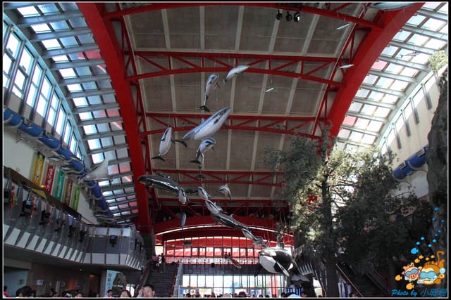 《遊記—屏東》國立海洋生物博物館~與海洋生物最近距離的接觸 - 第6張圖 《遊記—屏東》國立海洋生物博物館~與海洋生物最近距離的接觸