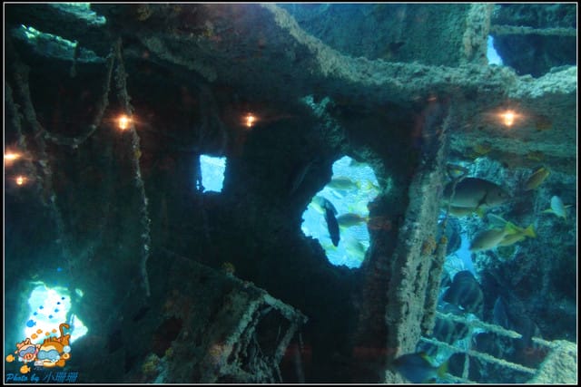 《遊記—屏東》國立海洋生物博物館~與海洋生物最近距離的接觸 - 第19張圖 《遊記—屏東》國立海洋生物博物館~與海洋生物最近距離的接觸