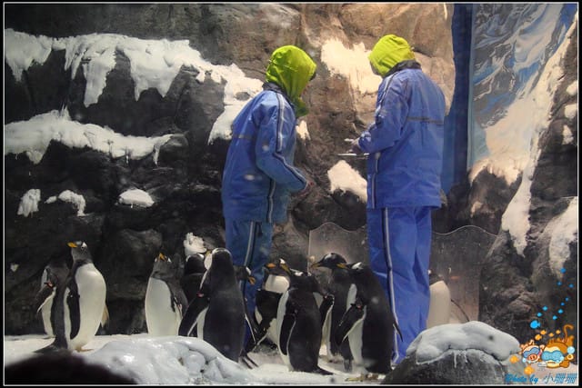 《遊記—屏東》國立海洋生物博物館~與海洋生物最近距離的接觸 - 第49張圖 《遊記—屏東》國立海洋生物博物館~與海洋生物最近距離的接觸