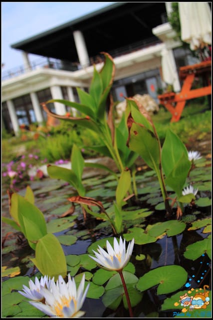 《遊記—屏東小琉球》杉板灣觀海Villa～海灣美景近在眼前