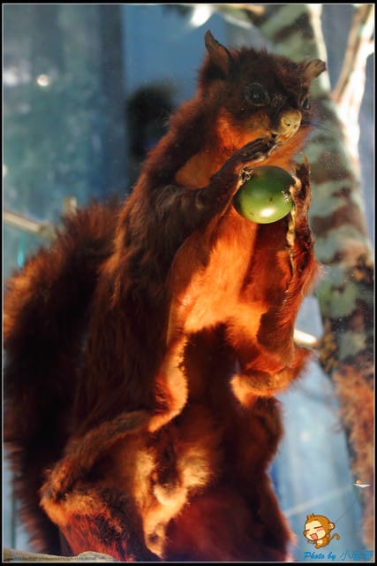 《遊記—宜蘭》蘭陽博物館～走入宜蘭的歷史文化