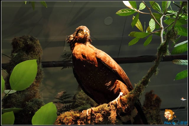 《遊記—宜蘭》蘭陽博物館～走入宜蘭的歷史文化