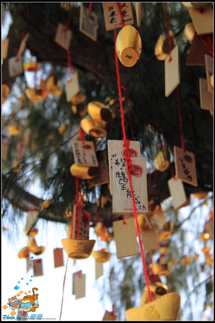 《遊記—屏東》海的雜貨＆大鵬灣國際休閒特區