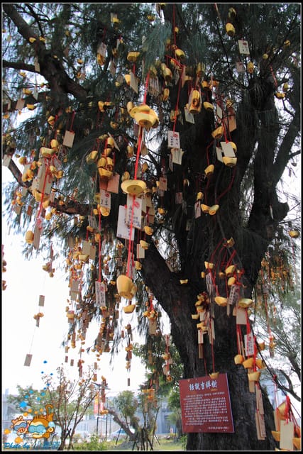 《遊記—屏東》海的雜貨＆大鵬灣國際休閒特區