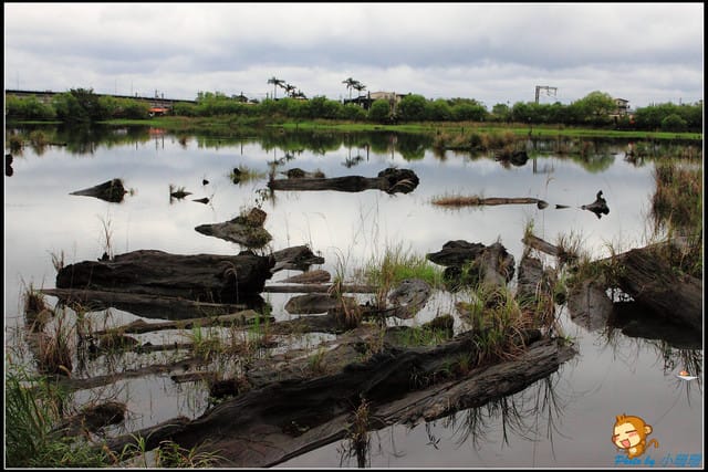 《遊記—宜蘭》羅東林業文化園區