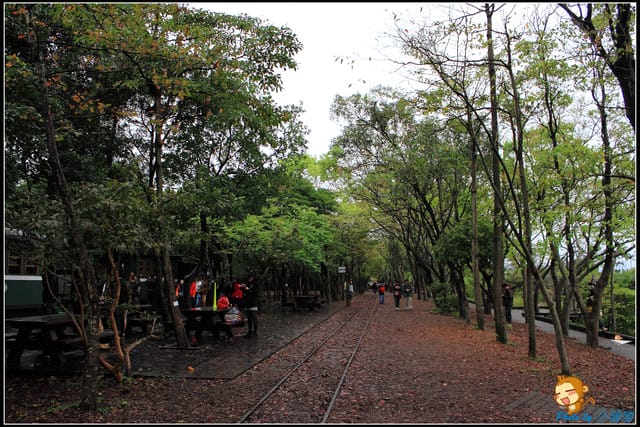 《遊記—宜蘭》羅東林業文化園區